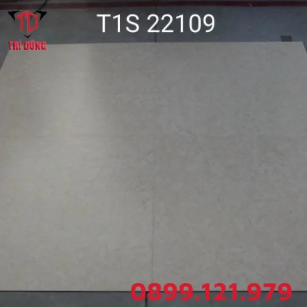 Sàn nhựa MSFloor T1W 22109