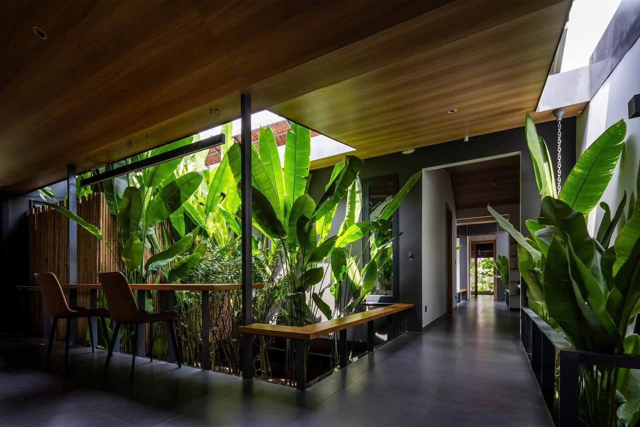 trần nhựa giả gỗ